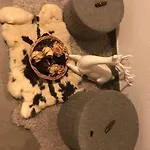 L'angolo Dei Sapori