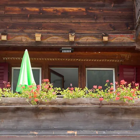 L'angolo Dei Sapori *