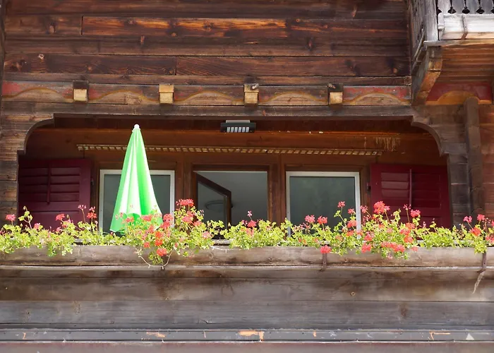 L'angolo Dei Sapori *