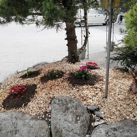 L'angolo Dei Sapori *